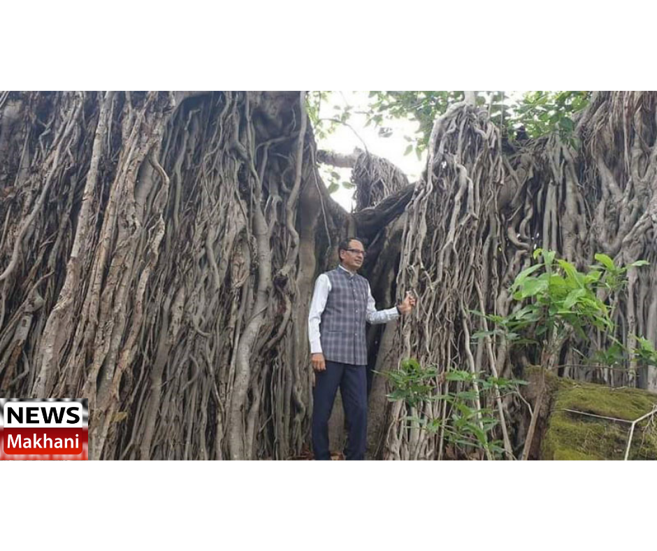 0001-2734560942_20210611_204354_0000