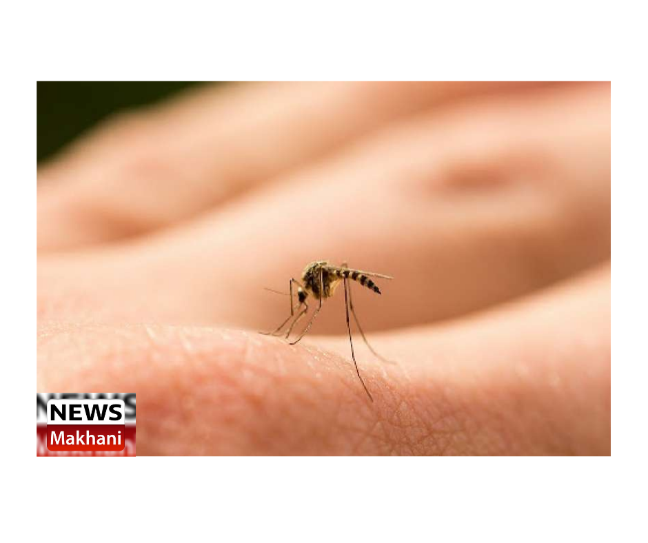 0001-2852164442_20210614_191112_0000