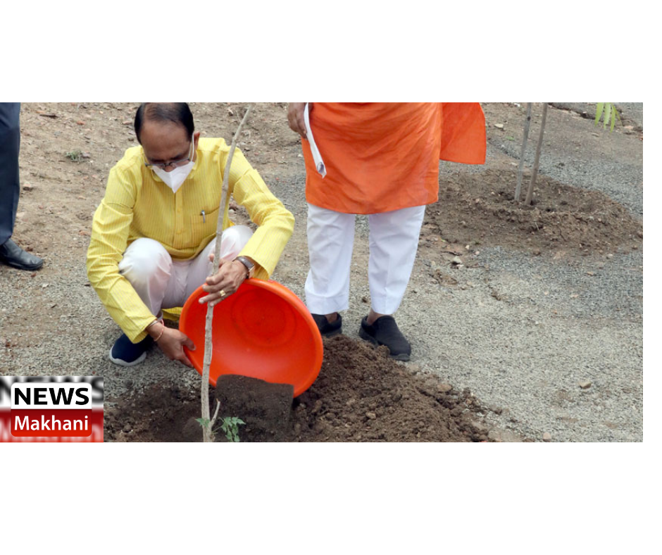 0001-3018504269_20210617_181458_0000