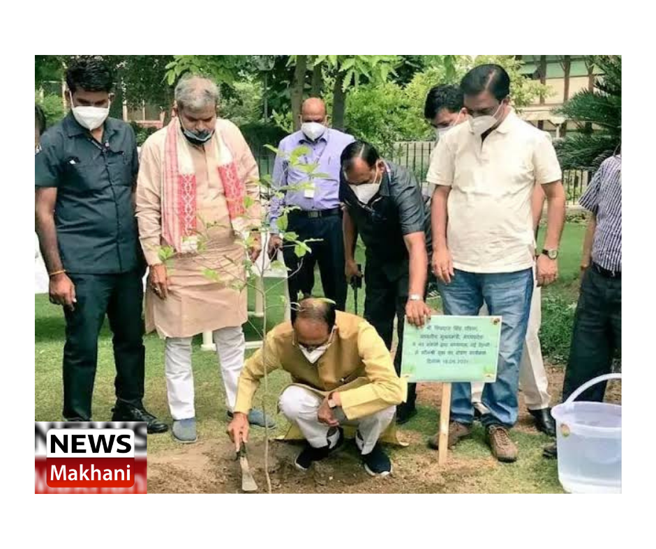 0001-3024852554_20210617_201932_0000