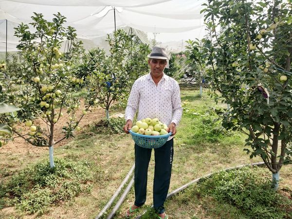 बागवानों के लिए प्रेरणास्रोत बने दुरगेेला के पूर्ण चंद