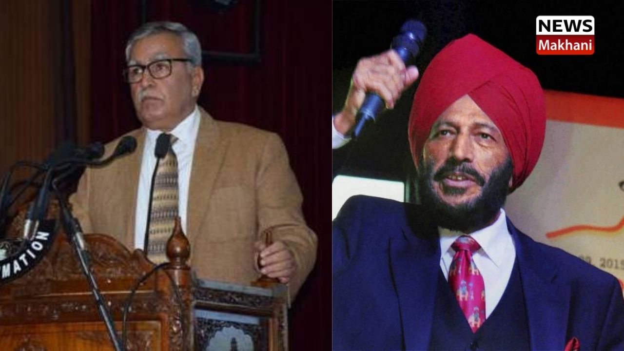 Untitled design (13)