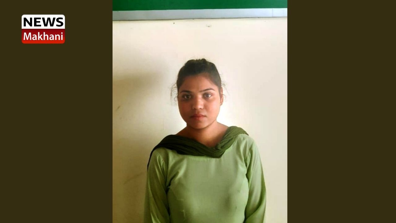 Untitled design (14)