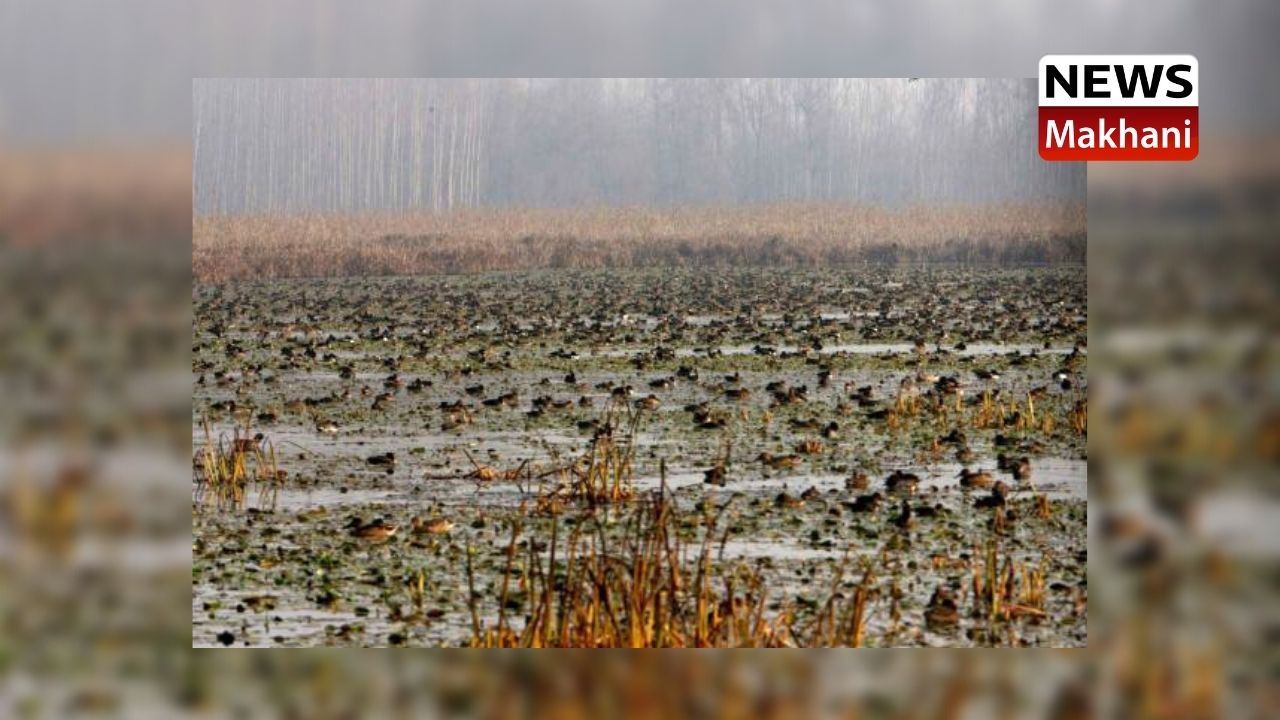 Untitled design (16)