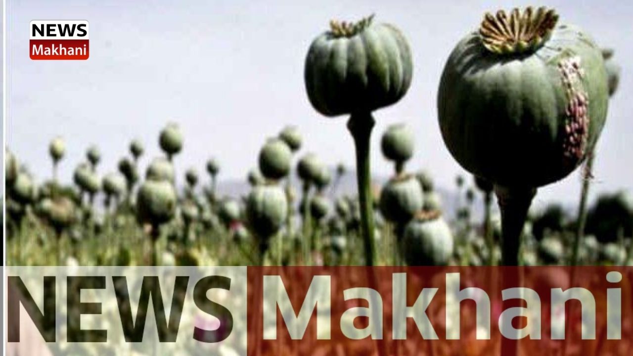 Untitled design - 2021-06-02T173808.612