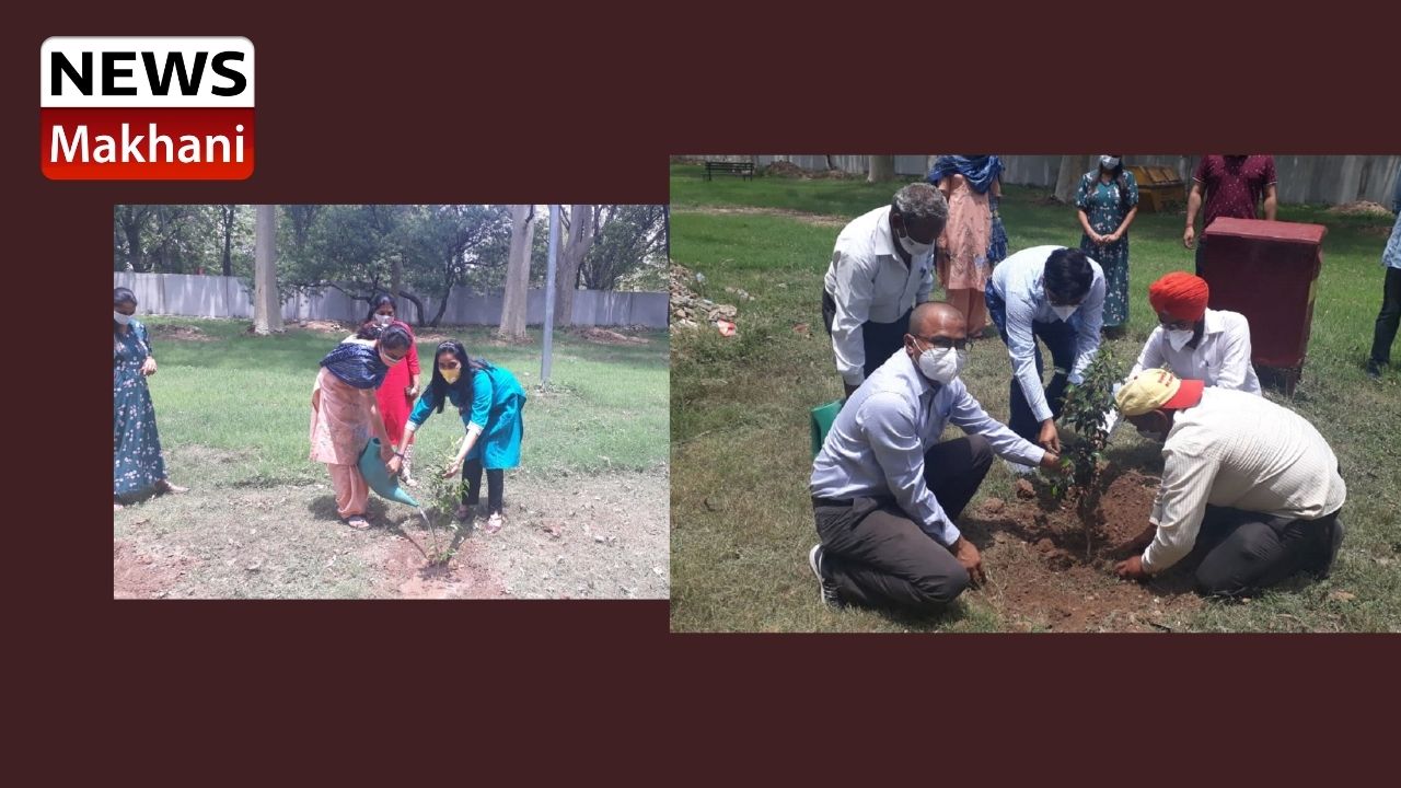 Untitled design - 2021-06-04T152422.721