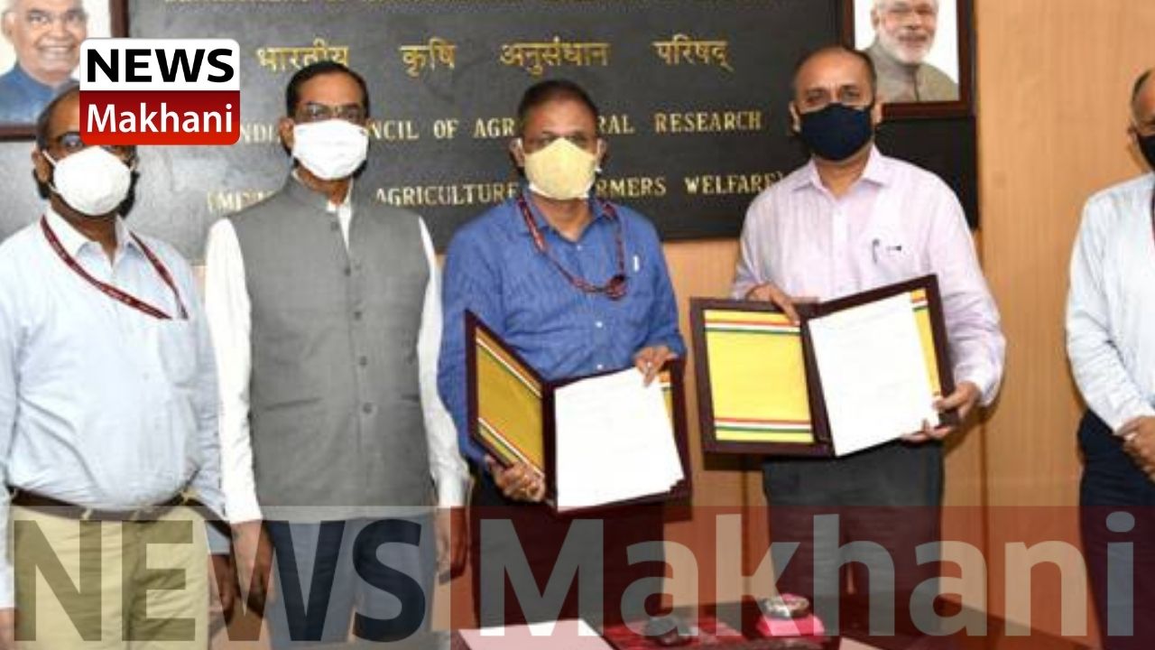 Untitled design - 2021-06-09T183829.951