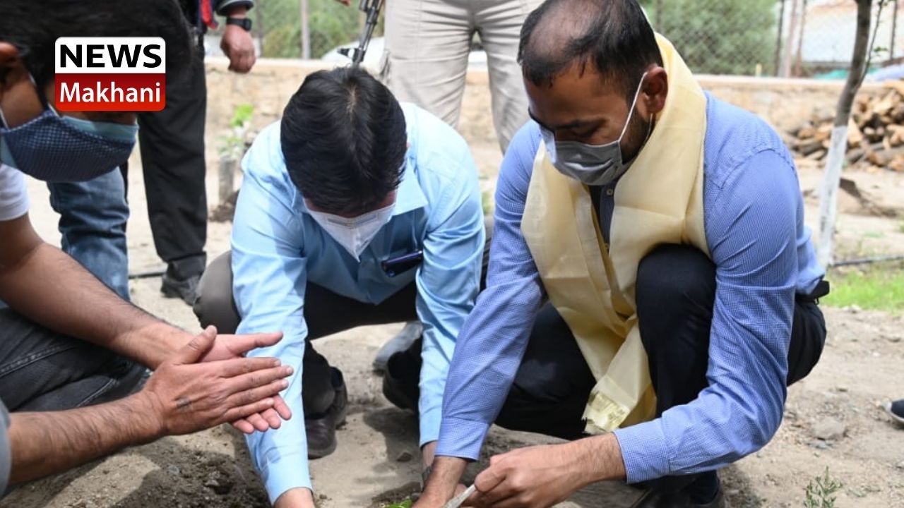 Untitled design - 2021-06-17T110221.799