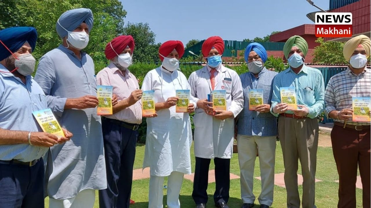 Untitled design - 2021-06-18T101800.837