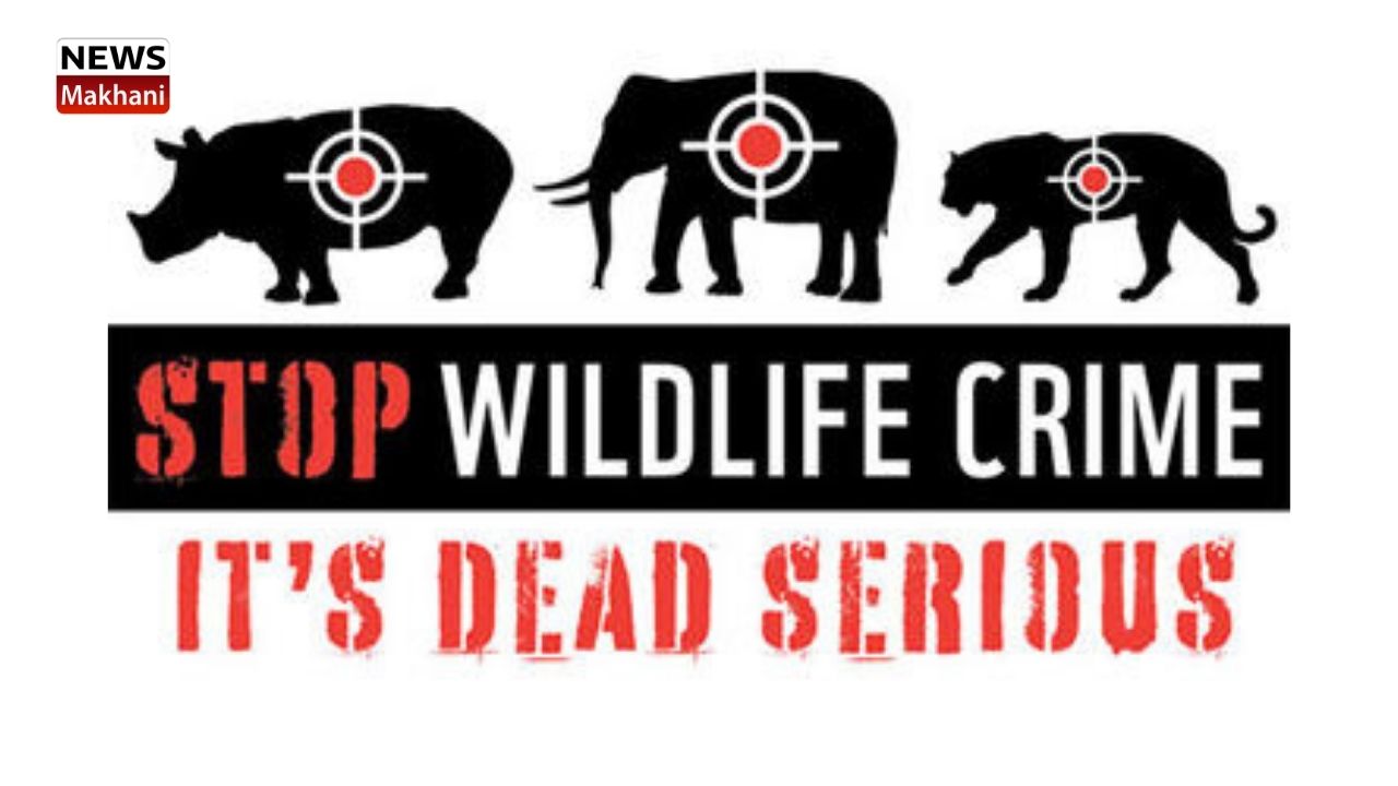 Untitled design - 2021-06-18T111150.690