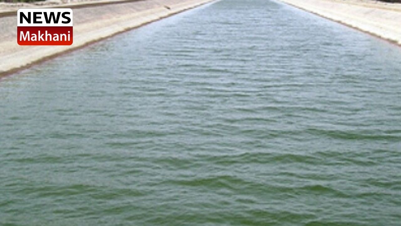 Untitled design - 2021-06-21T161014.058