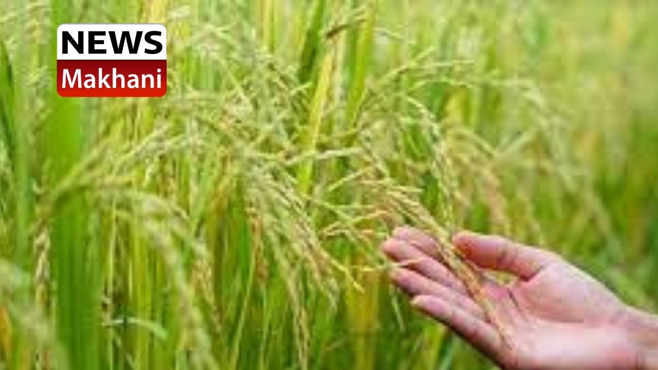 Untitled design - 2021-06-22T165605.774