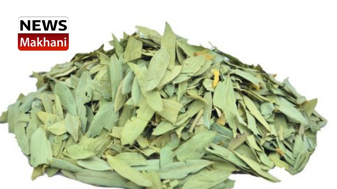 Untitled design - 2021-06-23T165639.323