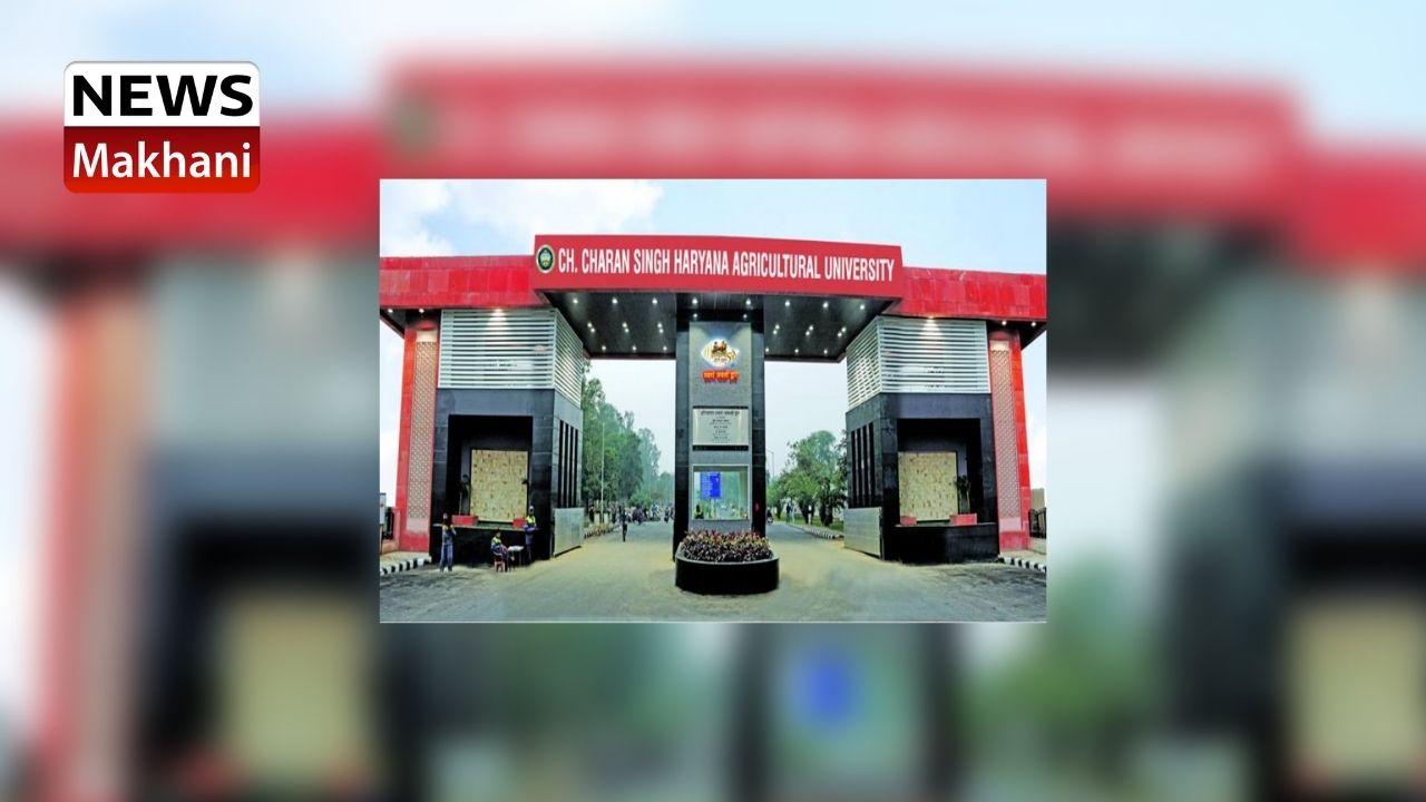 Untitled design - 2021-06-26T145057.327