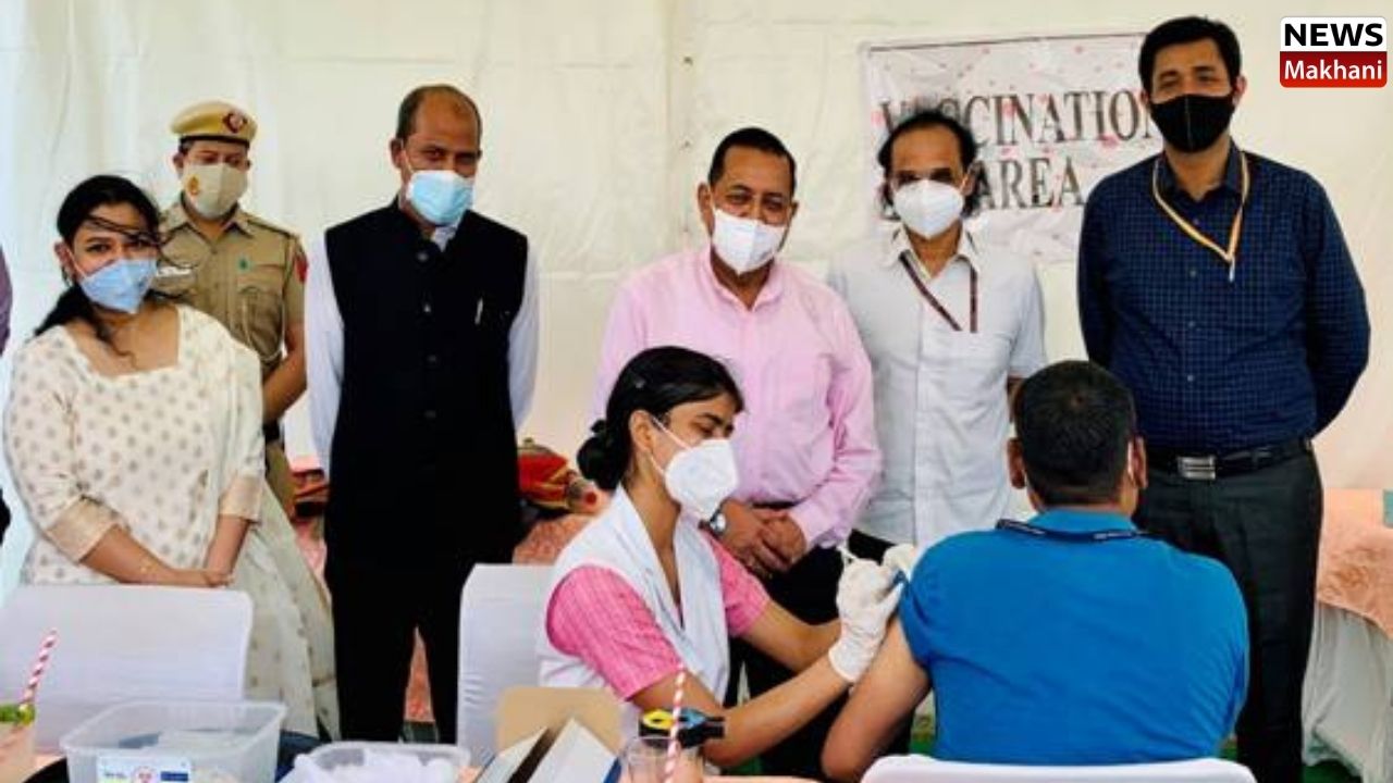 Untitled design (35)