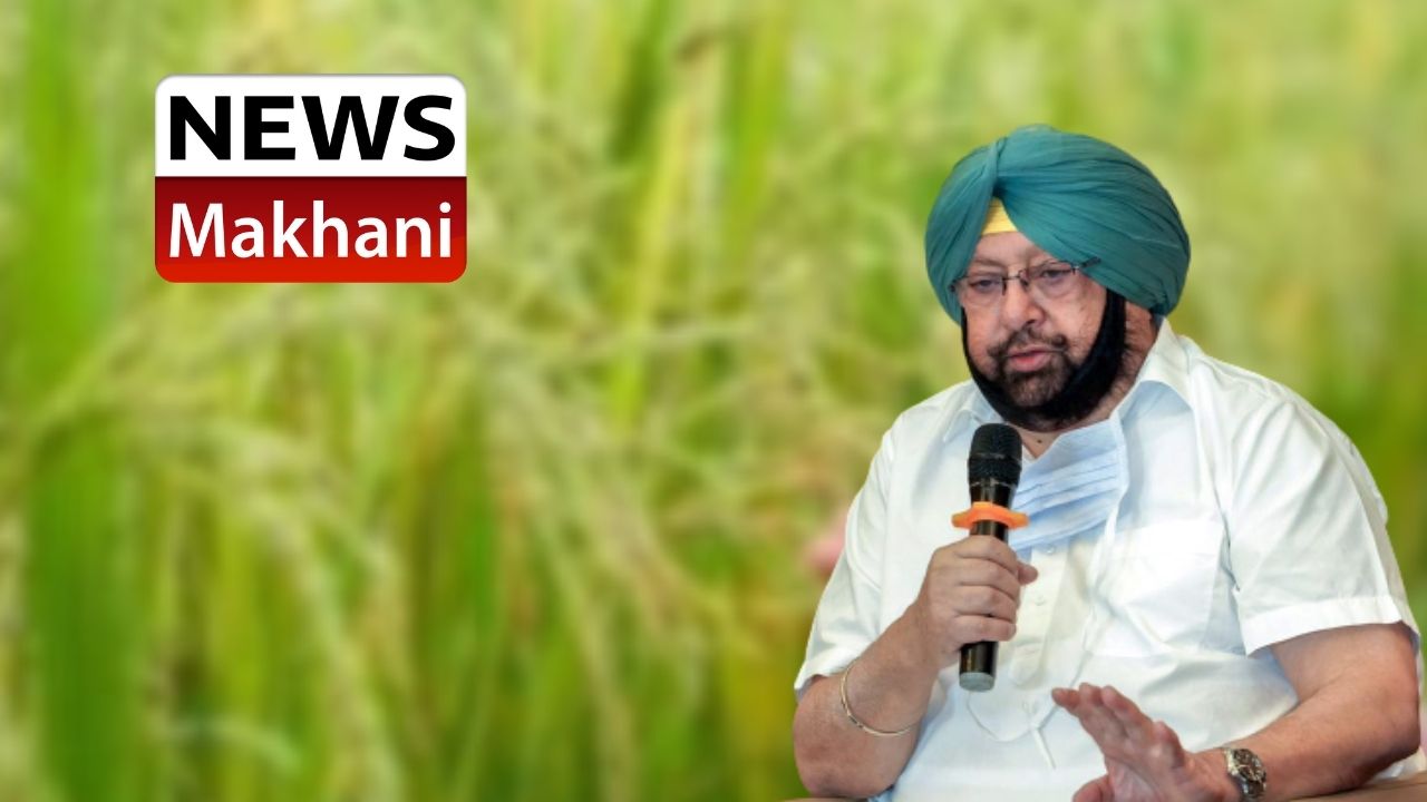 प्रदेश में ट्रांसजेंडर सुरक्षा प्रकोष्ठ गठित होगा (5)