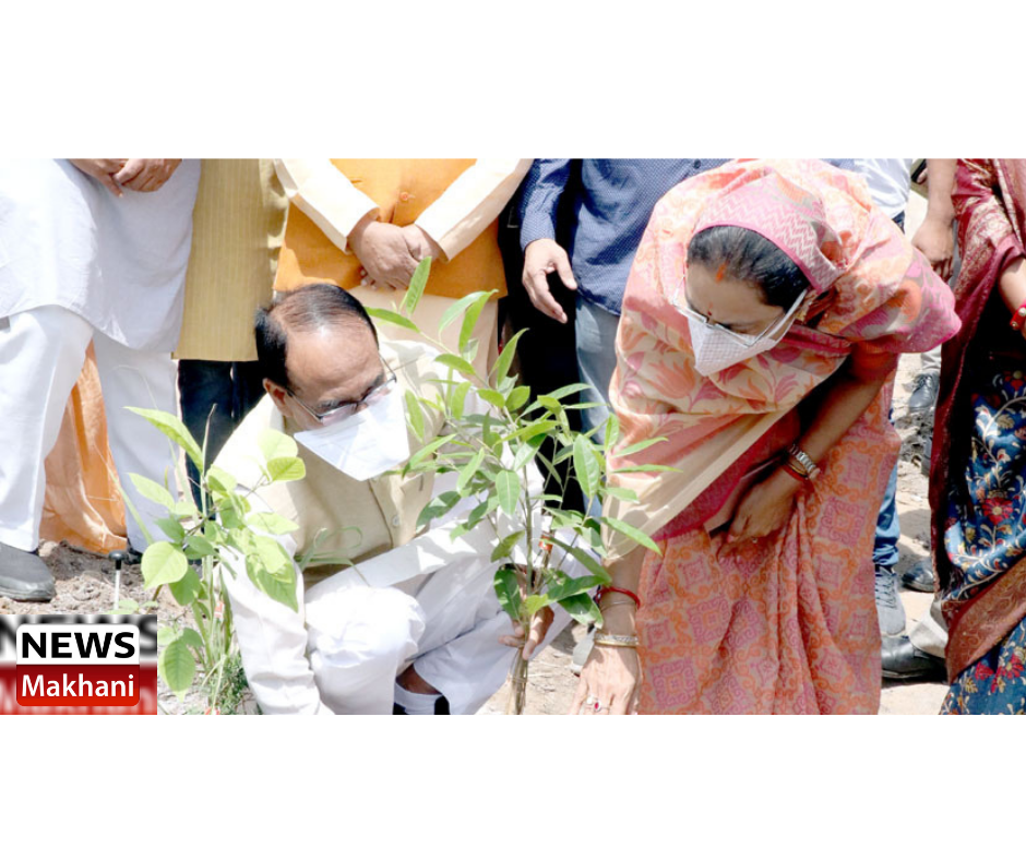 0001-3917415136_20210706_194449_0000