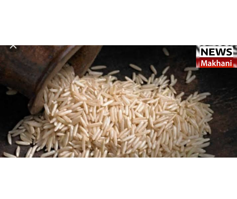 0001-3966688229_20210707_180524_0000