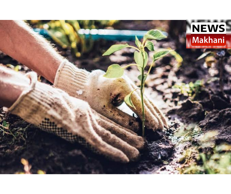 0001-4120487371_20210710_193328_0000