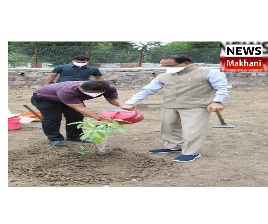 0001-4528659209_20210719_195142_0000