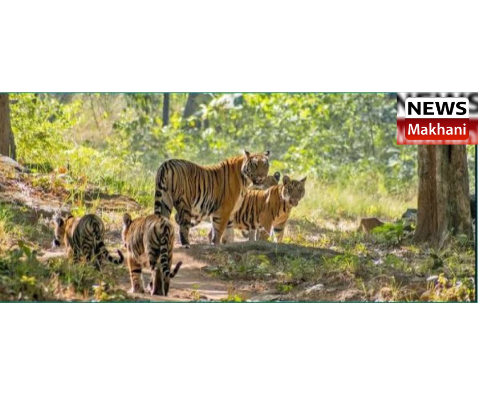 0001-5078253802_20210730_153319_0000