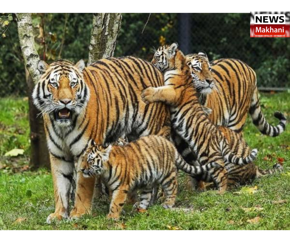 0001-5078600742_20210730_154424_0000