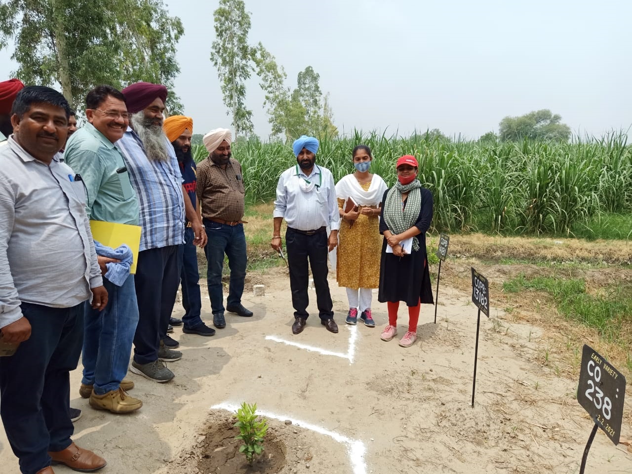 1 - 2021-07-14T105212.254