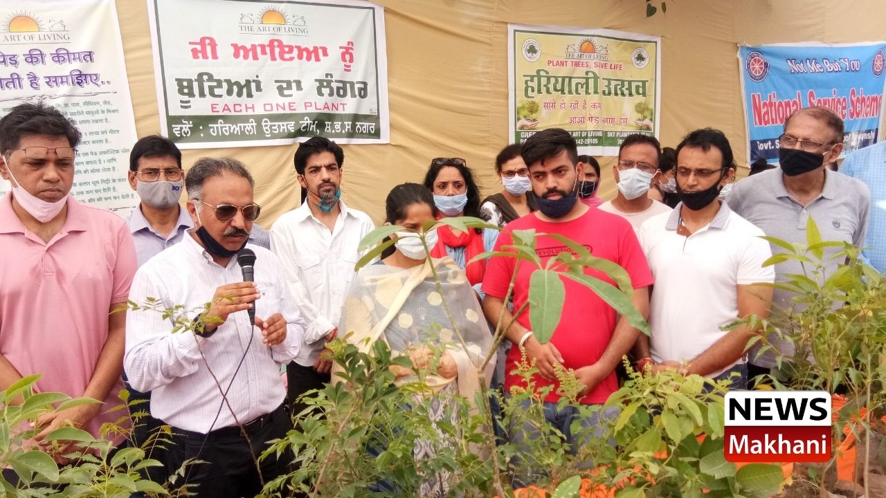 हरियाली उत्सव की टीम ने लगाया पौधों का लंगर, 501 पौधे बांटे