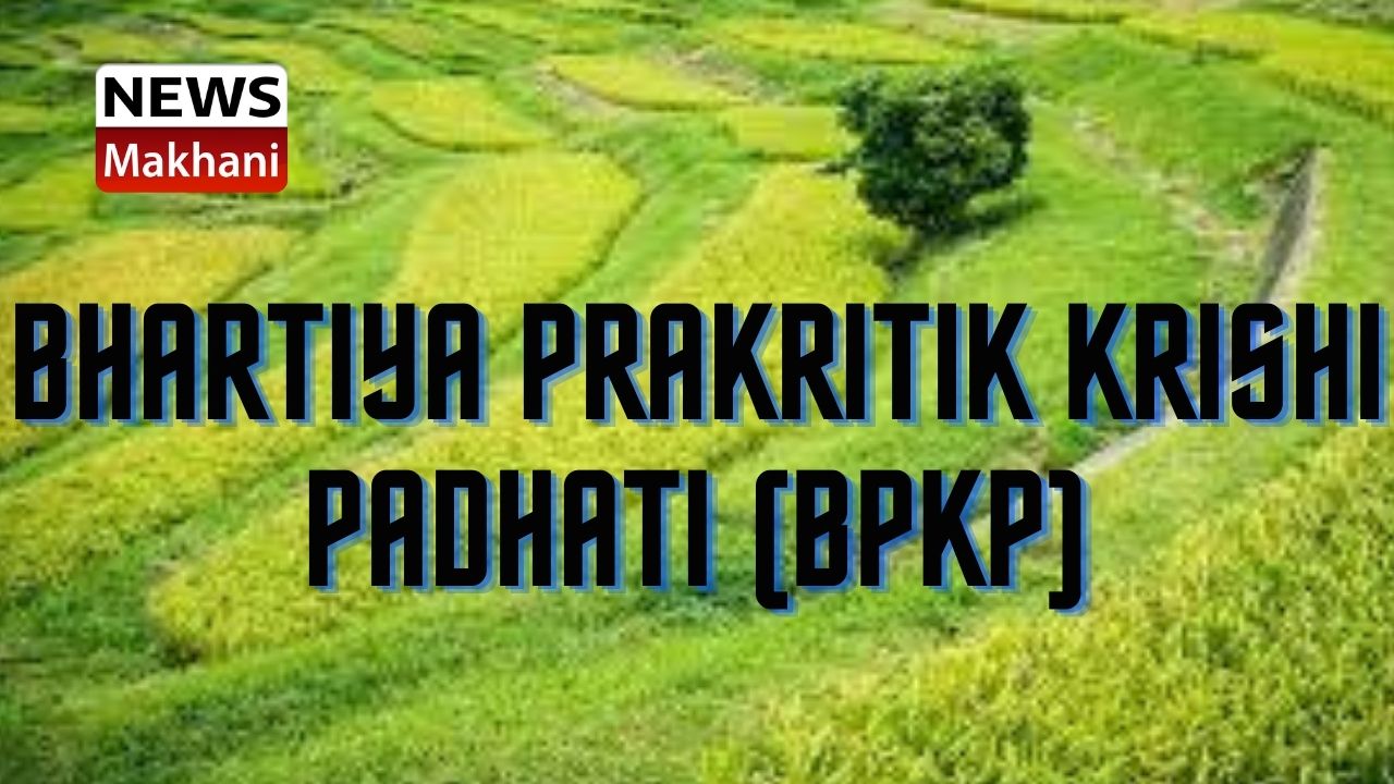 Bhartiya Prakritik Krishi Padhati (BPKP)