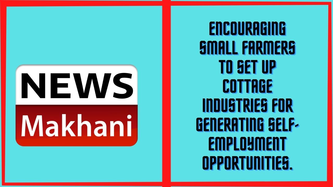 Encouraging small farmers to set up Cottage Industries for generating self-employment opportunities.