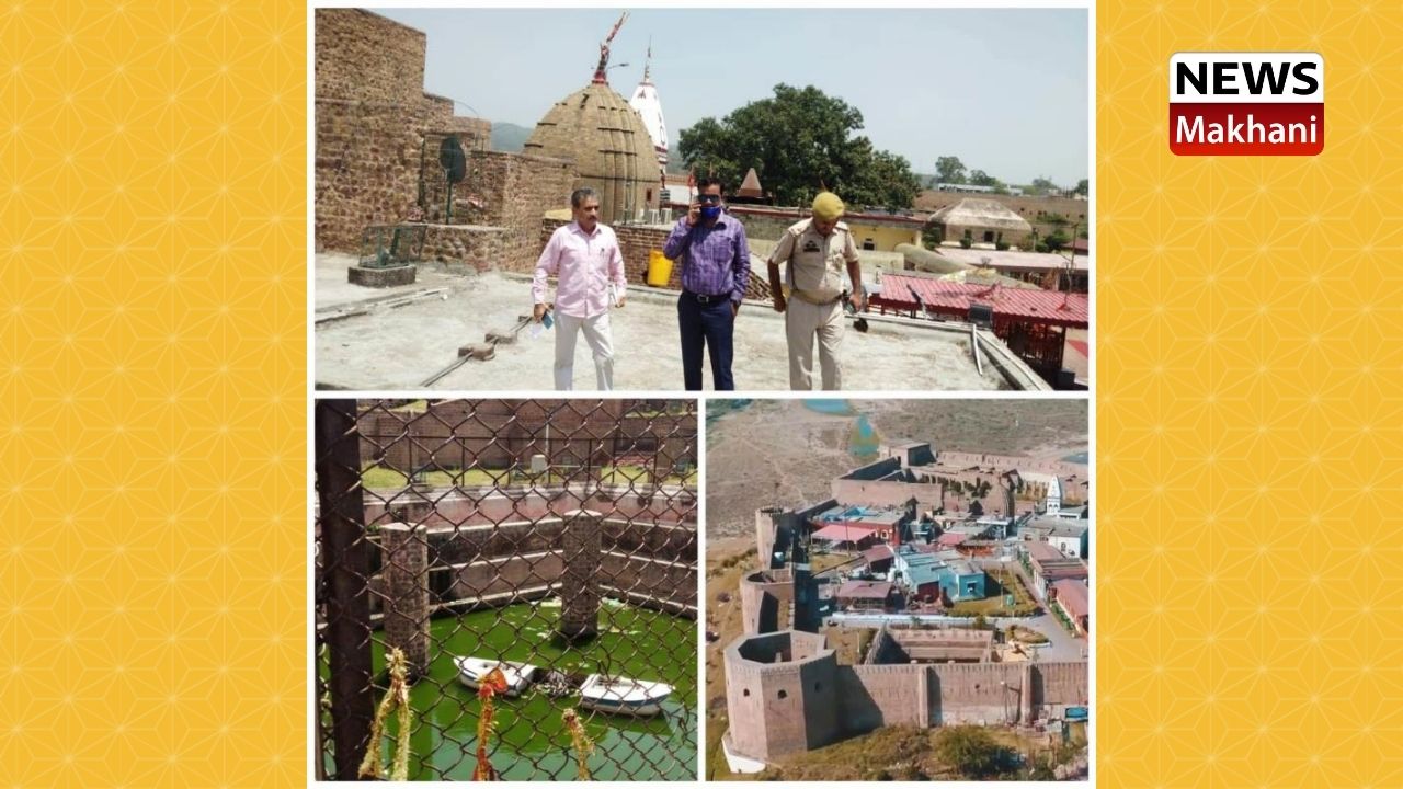 Untitled design (12)