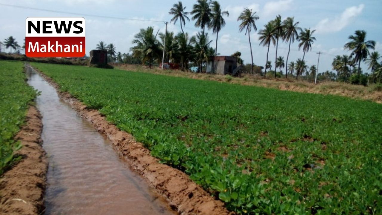 Untitled design (16)