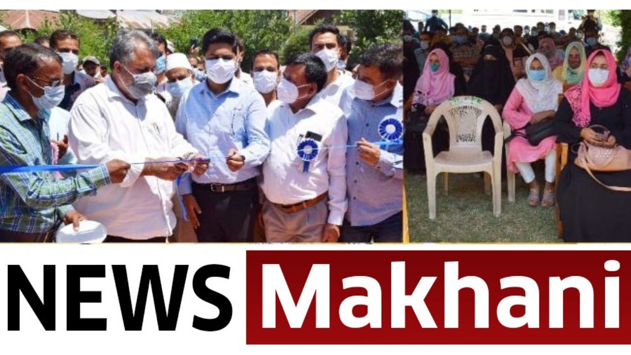 Untitled design (17)