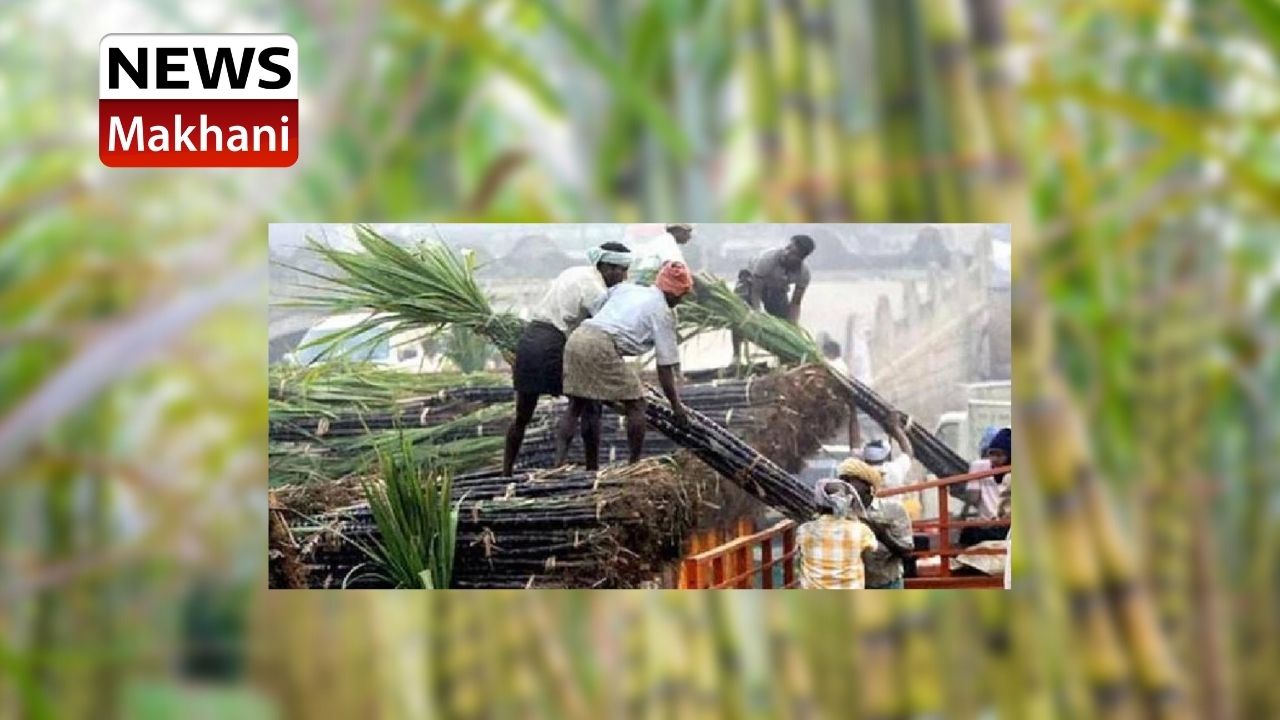 Untitled design - 2021-07-02T120546.187