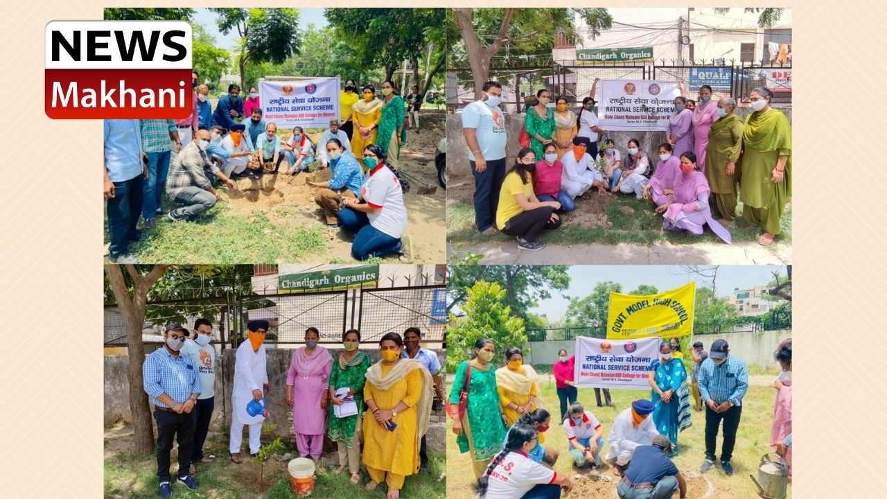 Untitled design - 2021-07-02T145152.370