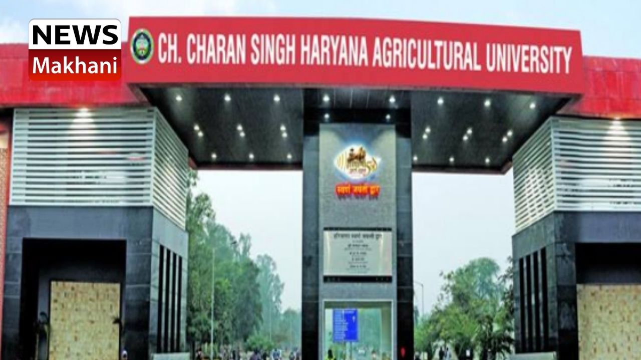 Untitled design - 2021-07-03T160740.724