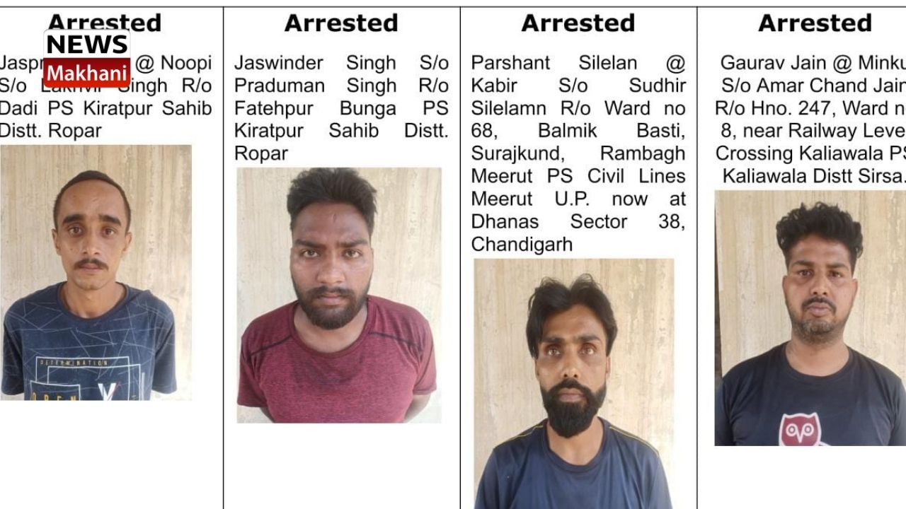 Untitled design - 2021-07-07T111633.617