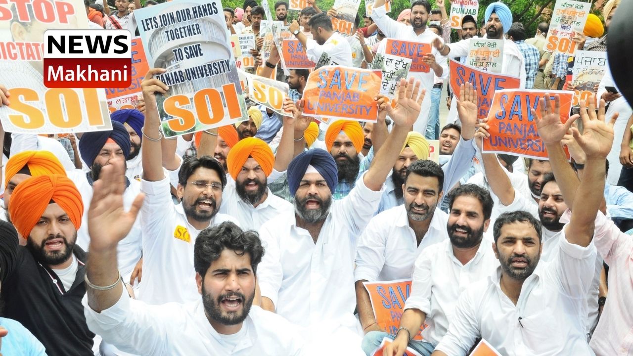 Untitled design - 2021-07-12T175211.556