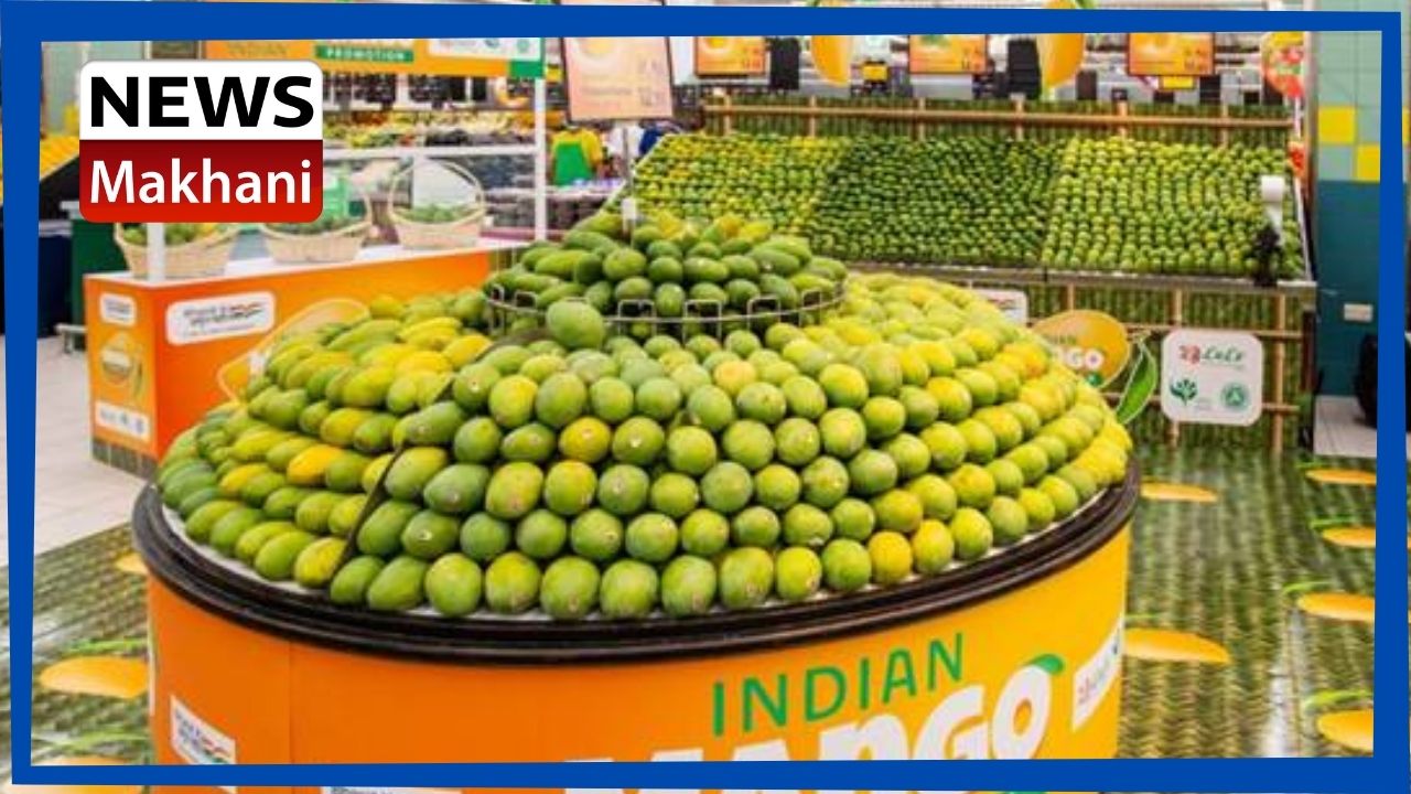 Untitled design - 2021-07-15T190905.749