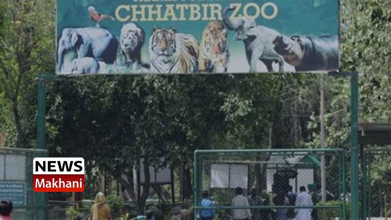 Untitled design - 2021-07-18T184636.470