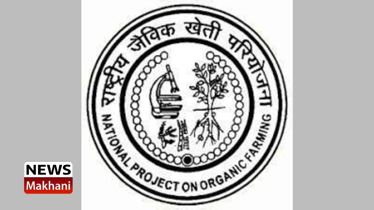 Untitled design - 2021-07-21T160909.844