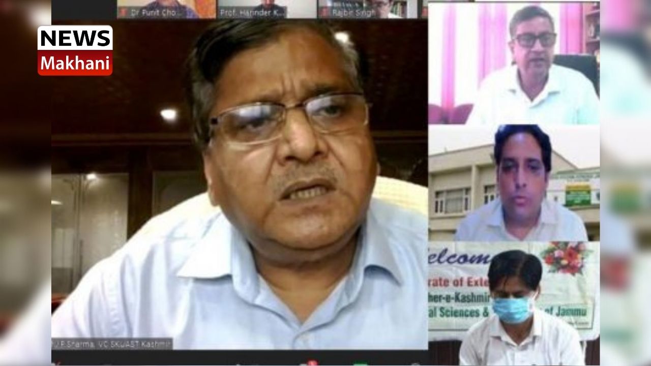 Untitled design - 2021-07-22T112524.839