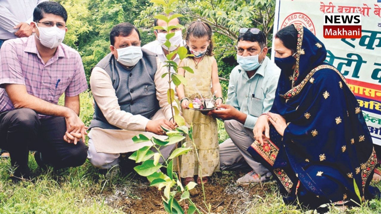 Untitled design - 2021-07-22T132731.966