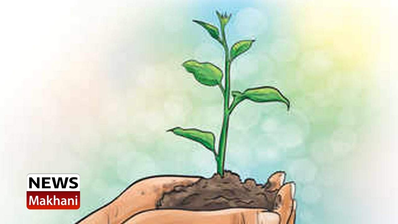 Untitled design - 2021-07-23T122407.157