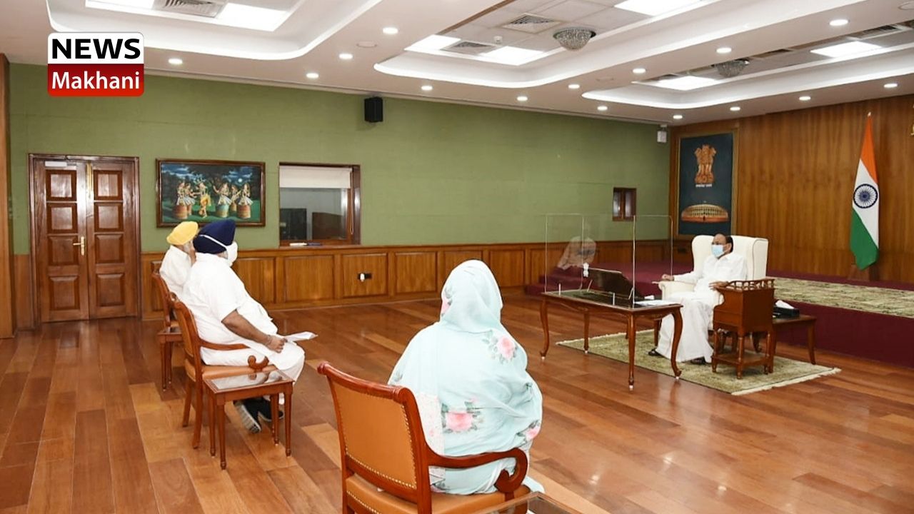 Untitled design - 2021-07-23T184252.841