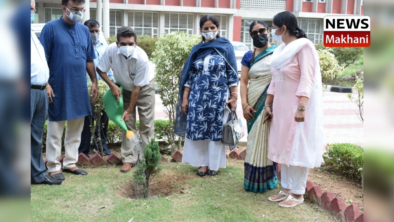 Untitled design - 2021-07-25T150833.383