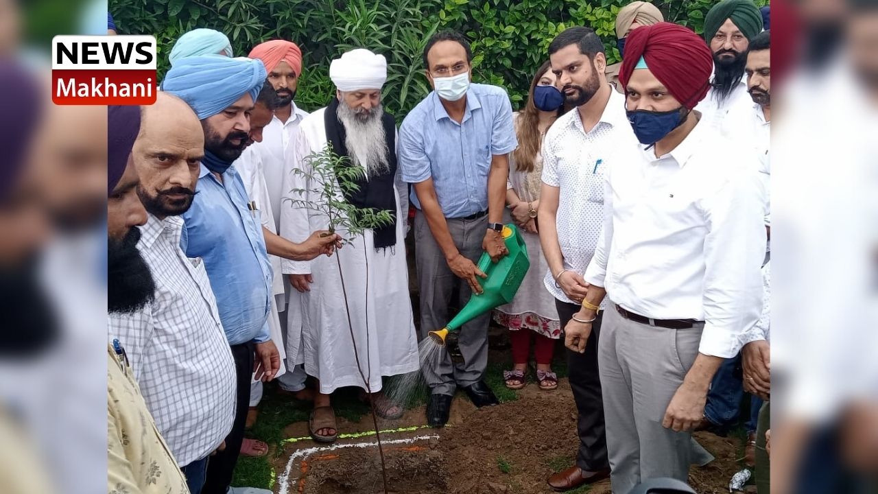 Untitled design - 2021-07-26T182847.478