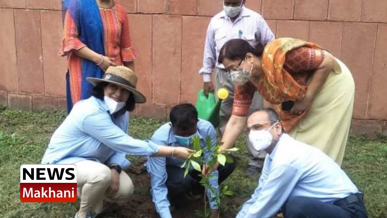 Untitled design - 2021-07-29T154052.950