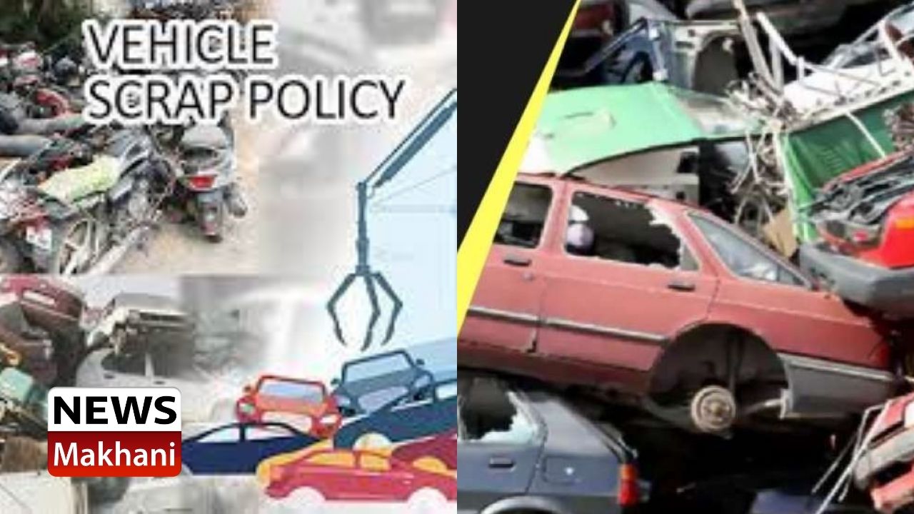 Untitled design - 2021-07-29T161913.033