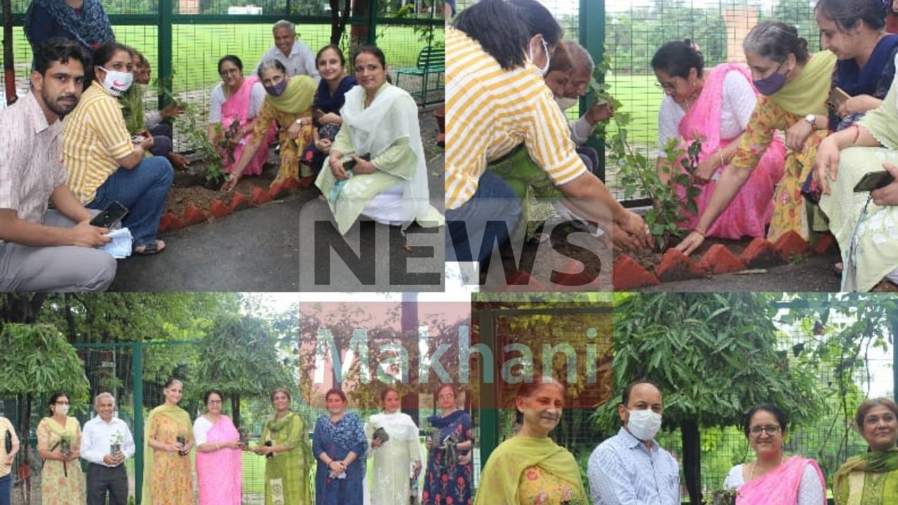 Untitled design - 2021-07-30T151004.854